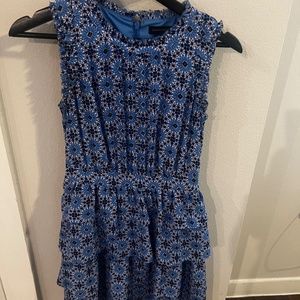 Banana Republic Blue Floral Ruffle Dress